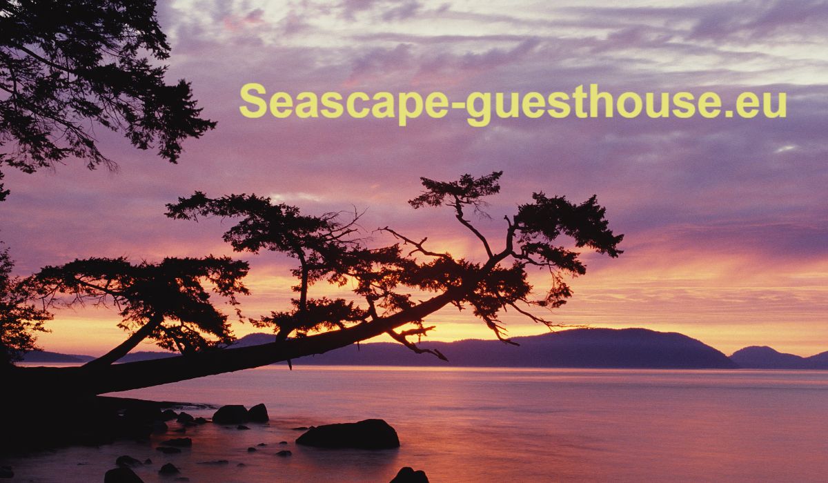 seascape-guesthouse.eu